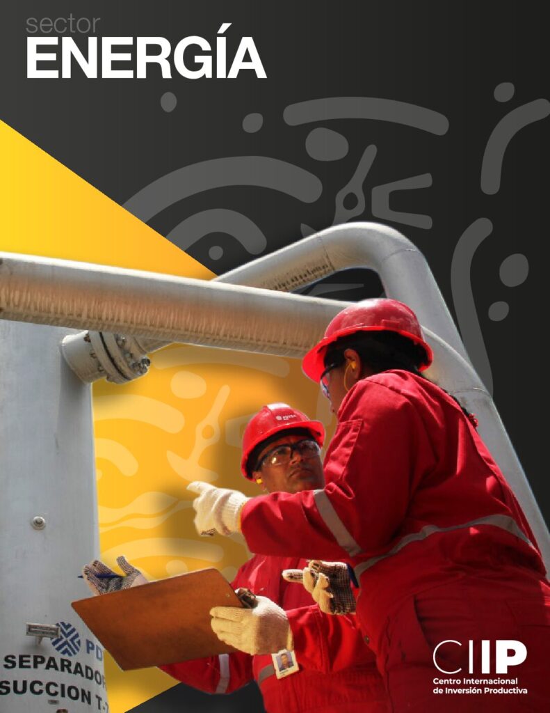 Proyecto energía-gas
