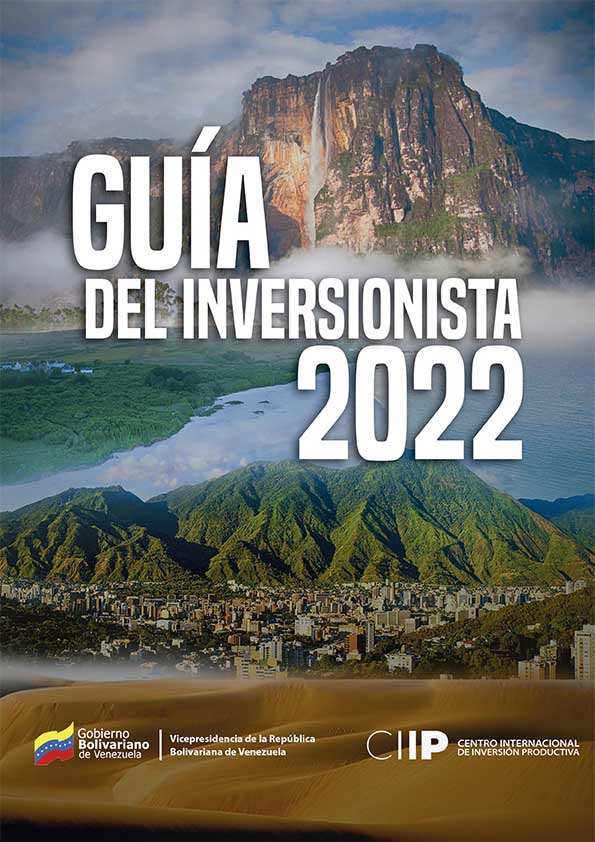 Guia del Inversionista
