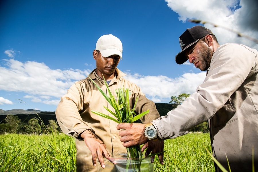 Venezuela avanza hacia una agricultura agroecológica