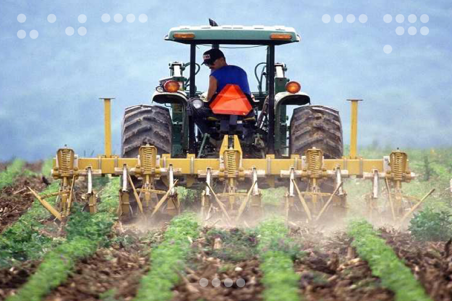 <strong>Zona Económica Especial Agroalimentaria del Oriente busca construir una nueva economía</strong>