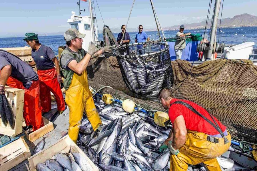 La pesca es un motor de la economía venezolana con calidad de exportación
