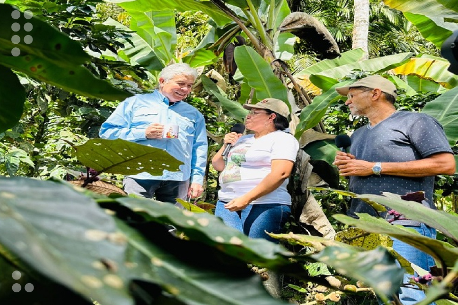 <strong>Yaracuy impulsa producción de café mediante implementación de productos biológicos de alta tecnología</strong>