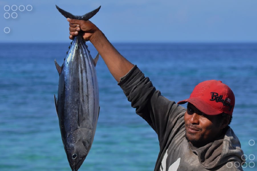<strong>Venezuela celebra el Día Mundial del Atún con compromiso hacia la pesca sostenible</strong>
