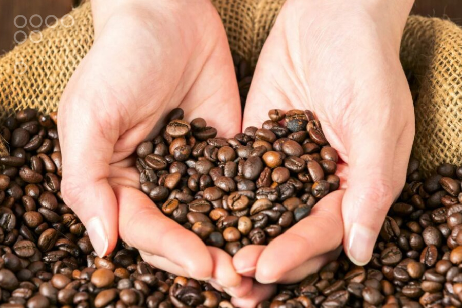 Cacao, Café y Cocuy resaltan la cultura, la gastronomía y las capacidades productivas del país