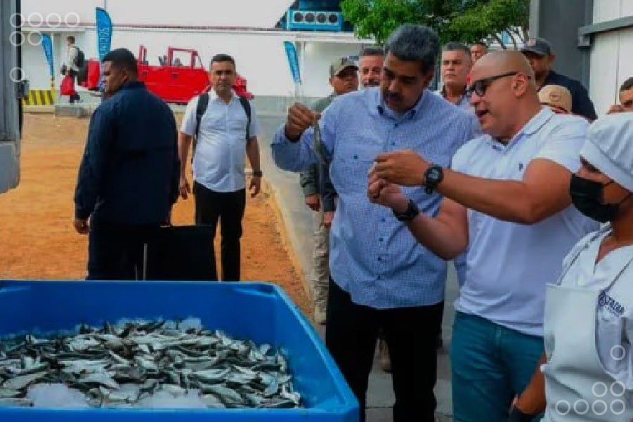<strong>Venezuela exporta 31 especies marinas a 24 países</strong>