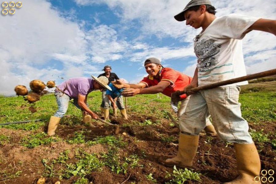 <strong>Guárico impulsará cuatro proyectos productivos a través de la ZEE</strong>
