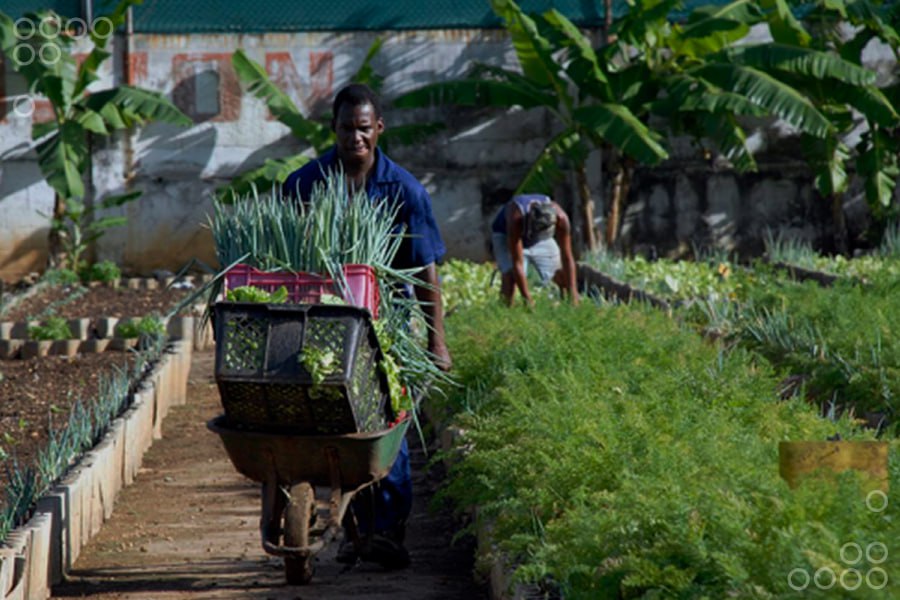 <strong>Exponen potencial agrícola venezolano en Foro de San Petersburgo</strong>