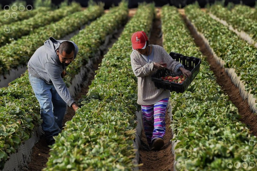 <strong>Comisión Agroproductiva busca incorporar productos venezolanos en países BRICS</strong>