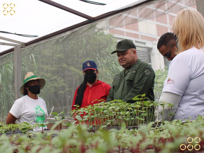 Producción de alimentos en Caracas impulsa economía nacional