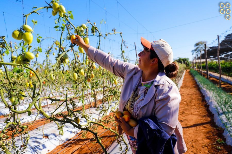 Castro Soteldo: Gestión pública fortalecerá producción campesina
