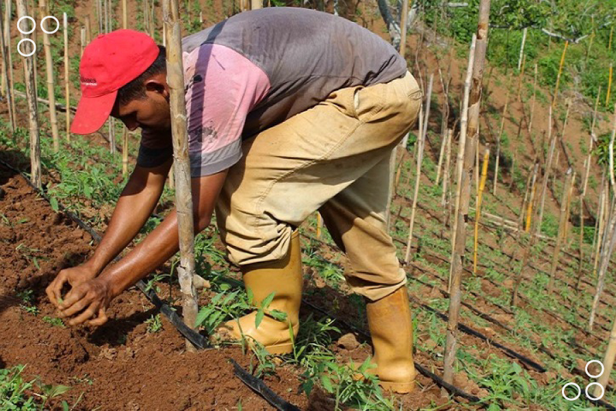 Productores de Yaracuy reciben insumos agrícolas para cultivo del café