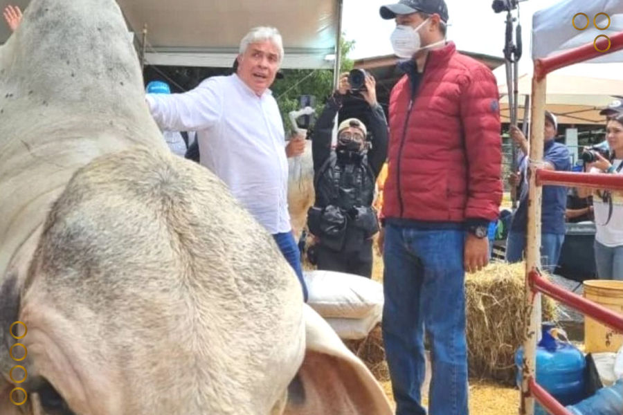 Ministro Castro Soteldo expone potencialidades organopónicas en Lara