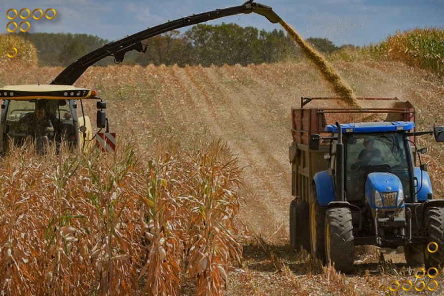 Unidad de Producción AGA cosecha 46 hectáreas de maíz blanco en Portuguesa
