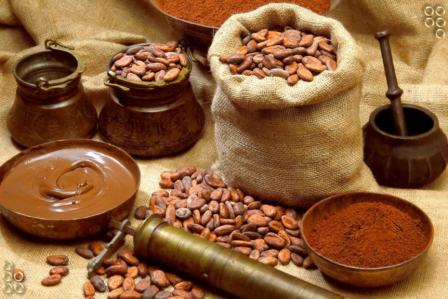 Venezuela busca fortalecer la investigación y producción de cacao