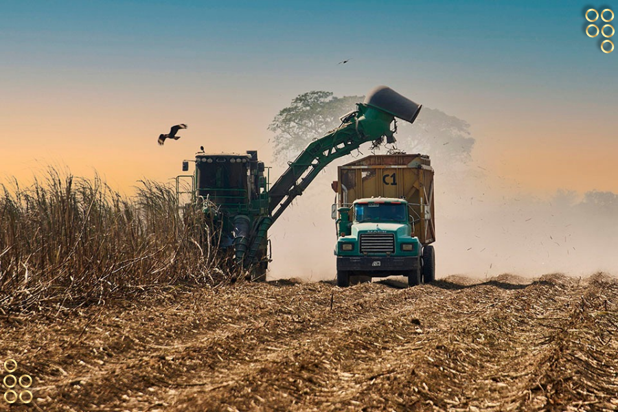 Zafra de caña de azúcar superó las expectativas del sector #25Sep