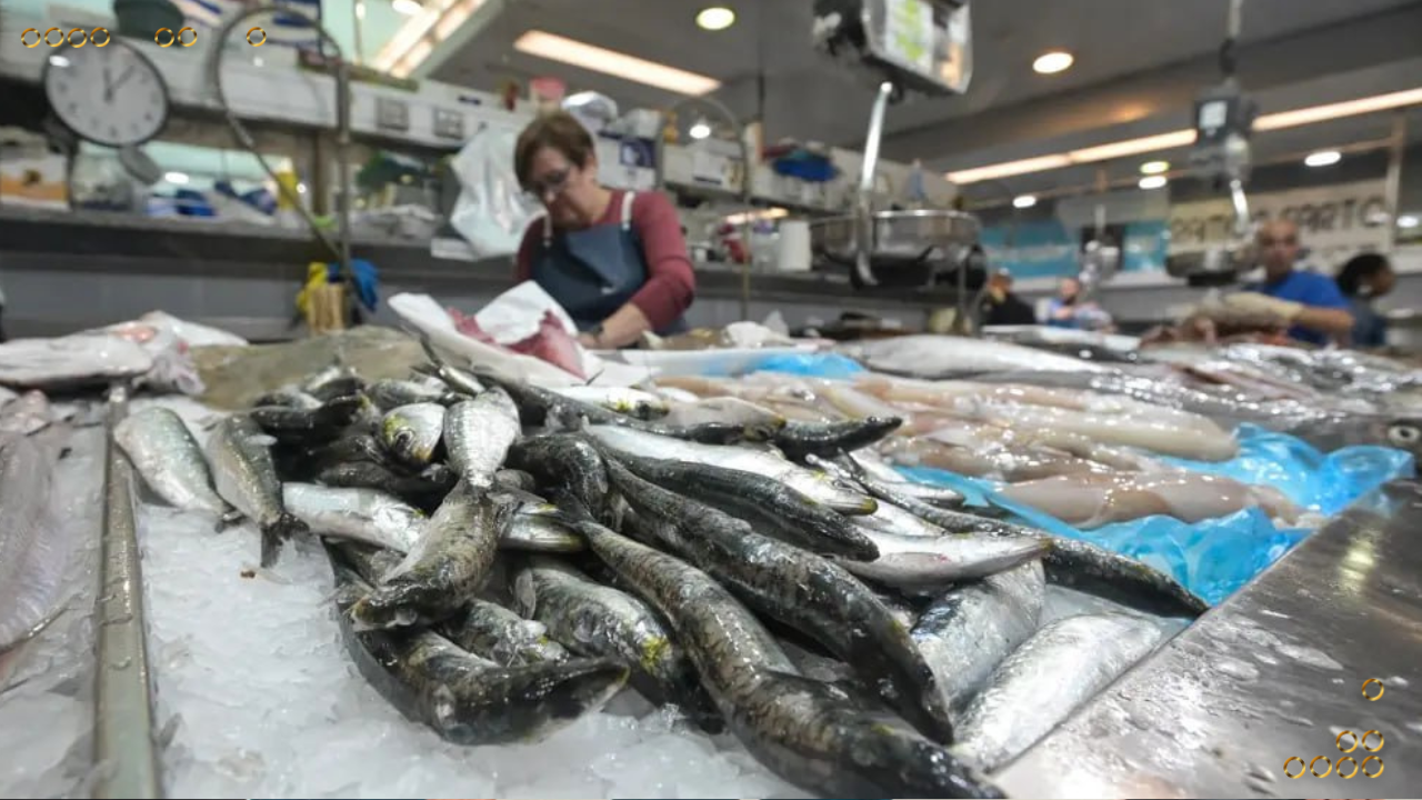 Inspeccionan productos pesqueros que serán exportados a Europa