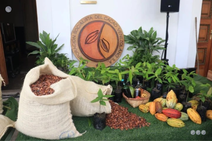 Fomento y Promoción del Cacao